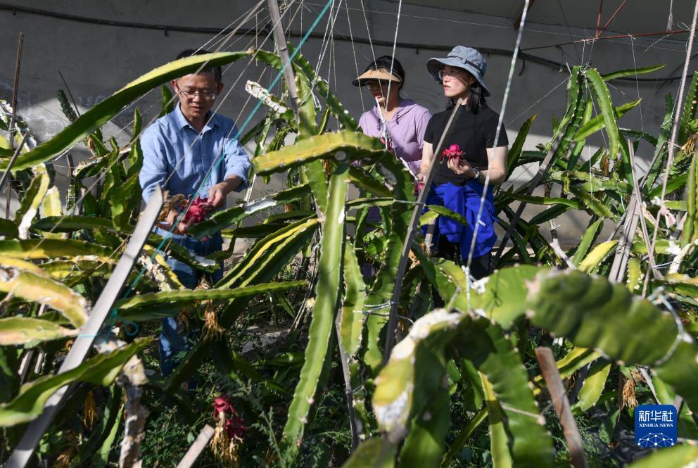 顶级贵宾会怎么注册