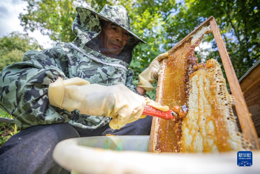 降龙士足球论坛